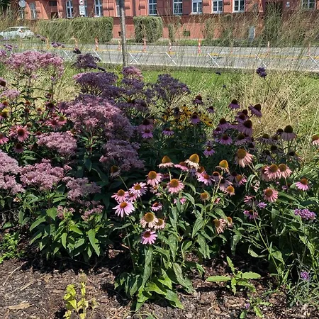 Malt & Monarch Apartment